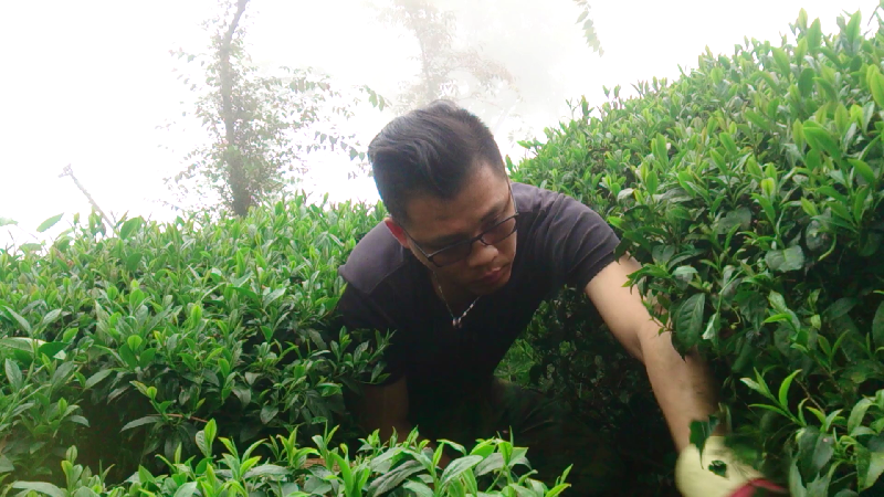 讓茶不只能喝 劉松杰廣開產業新路