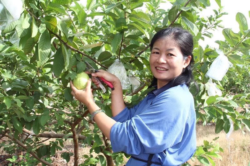 要做得心安理得 享家蔬果園張家芸