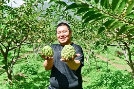 張簡裕峰草生栽培的釋迦園