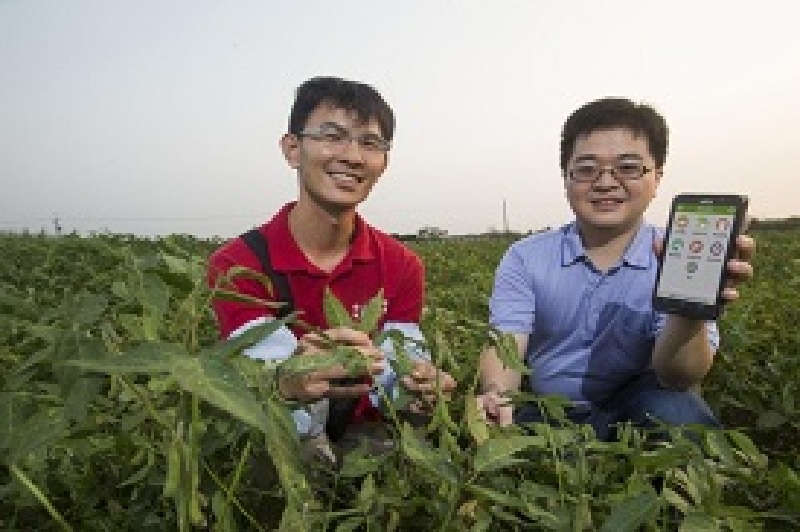 發揮科技專長與新世代優勢 青年農民蘇建鈞為自己與農業尋找新契機
