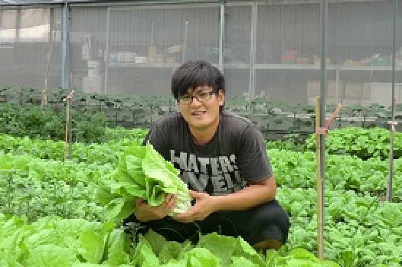 生產的不是蔬菜，是食材