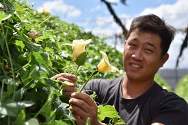 郭明哲特殊技能，木虌果雌雄株辨別技巧