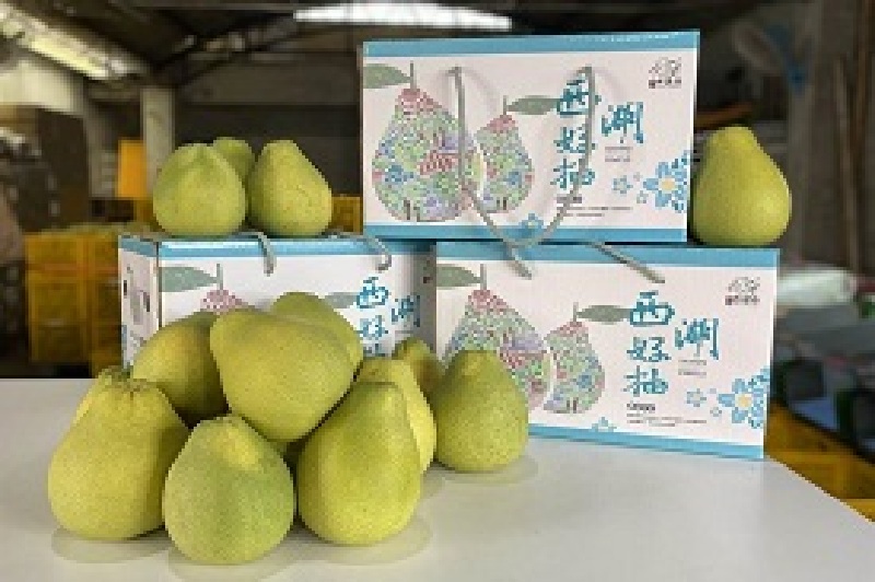 徐耀昌開直播化身1日柚農 百大青農推廣「菁」品牌