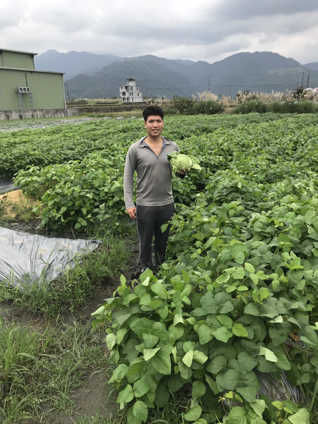 吳旻恆返鄉從農，跟父母學習種植稻米、黑豆等作物。（圖片提供／吳旻恆）