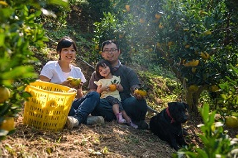 返鄉百大青農詹凱麟夫婦 推動在地農產平台「蔬菜箱」