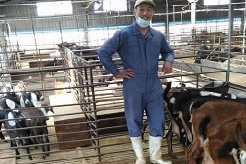 陳奇峰父子同心 種肉羊畜養唯一認證