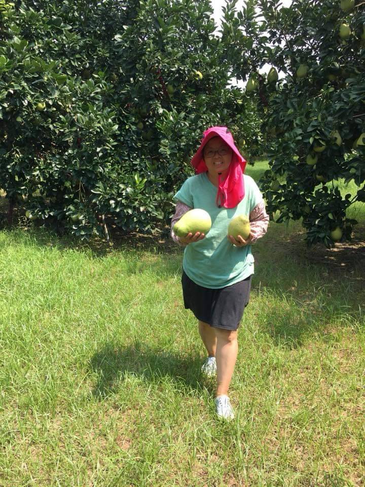 楊琁茗採慣行農法草生栽培，以友善農業為目標，嚴格把關所有柚子