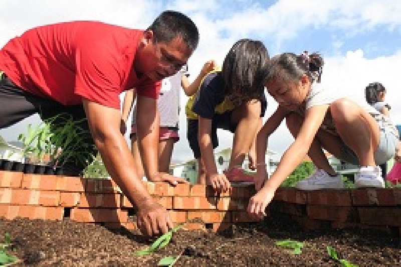 開拓家庭園藝新客源  食農教育向下紮根
