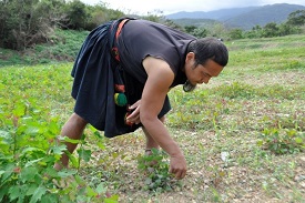 樊永忠特殊技能-雜草連根拔起