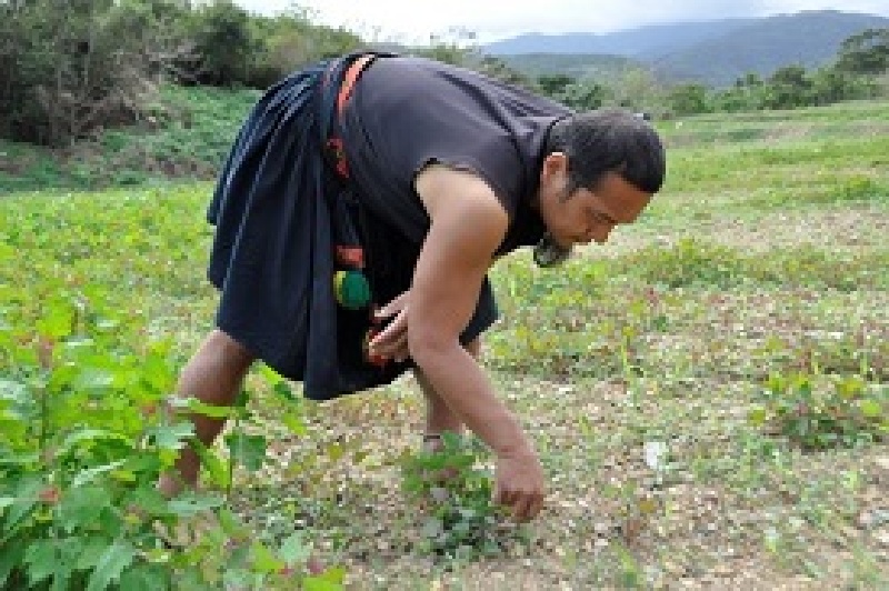 翻轉部落，打造夢想那畝田