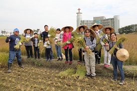 陳建凱會長(左1)辦理割稻體驗活動，讓民眾了解水稻收穫過程