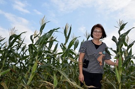 青農郭怡君選擇玉米作物為創業的起點