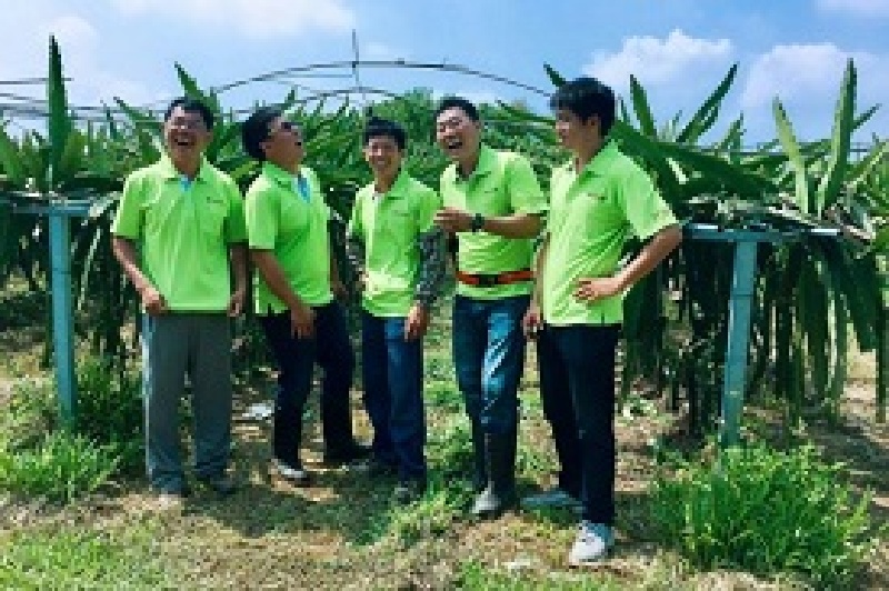 「番社蔬果聯盟」青農團 打造東山紅龍果產業基地