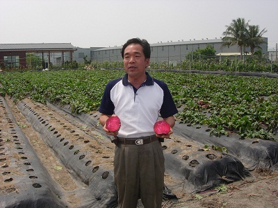 野薑花有機生態農場(大里市農會蔬菜產銷班第1班)