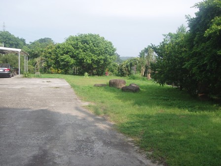 桐境園林春農場