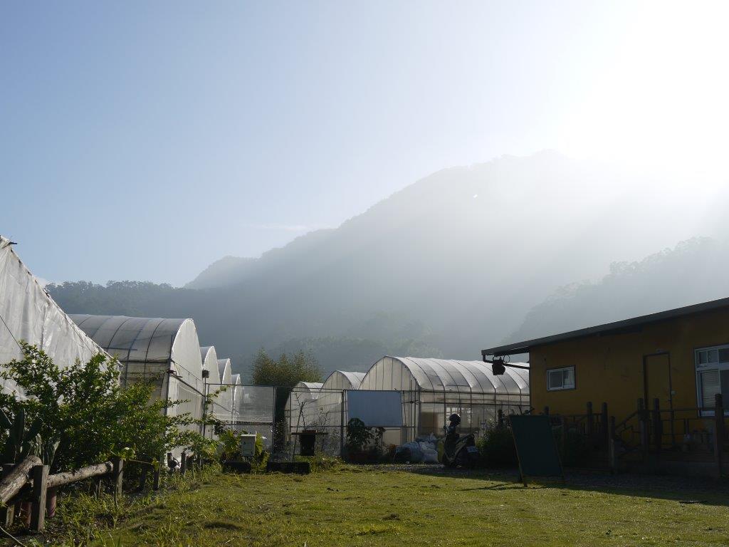 淼焱苗有機農場(大溪區蔬菜產銷班第三班-陳建龍)