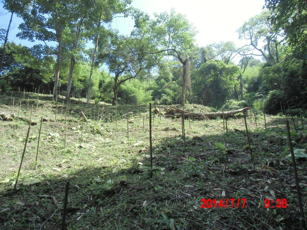 臺中市農會四角林咖啡莊園
