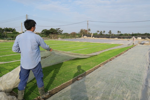 采芳農場(路竹區稻米產銷班第一班)