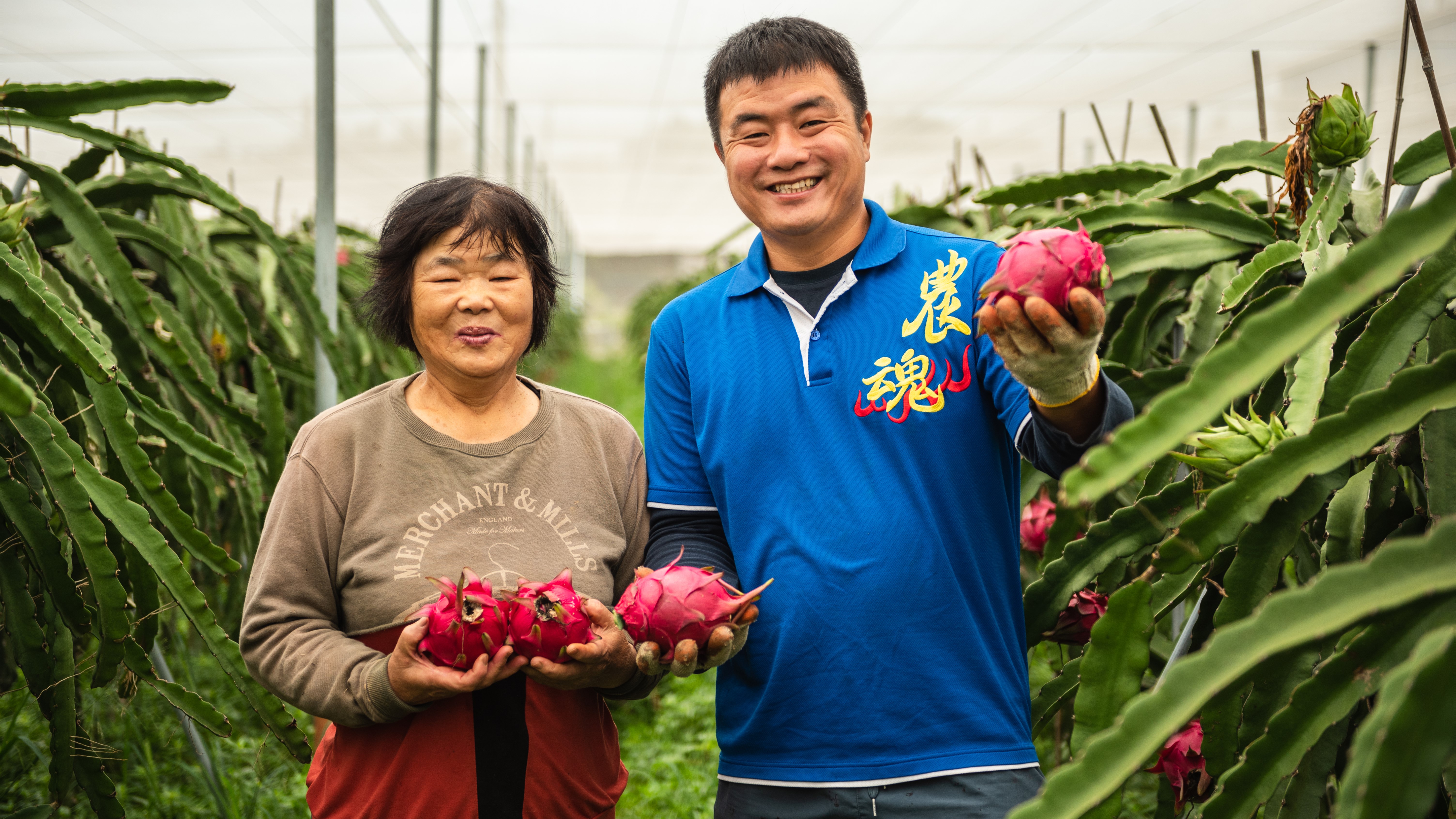 福田嚴耕有機農場(觀音區大專業農)