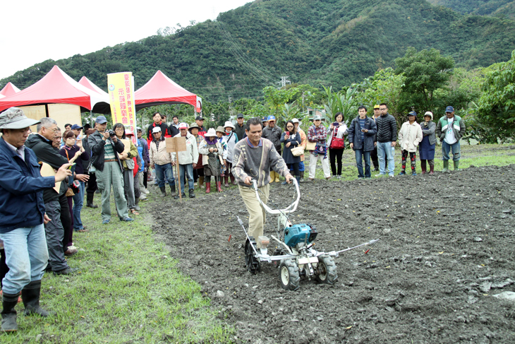 臺灣藜機械播種田間操作情形