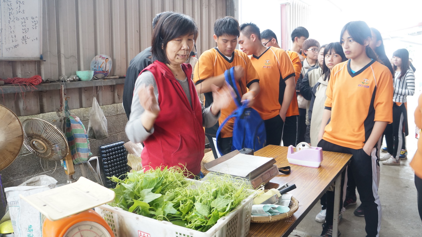 學生實地操作有機蔬菜包裝作業