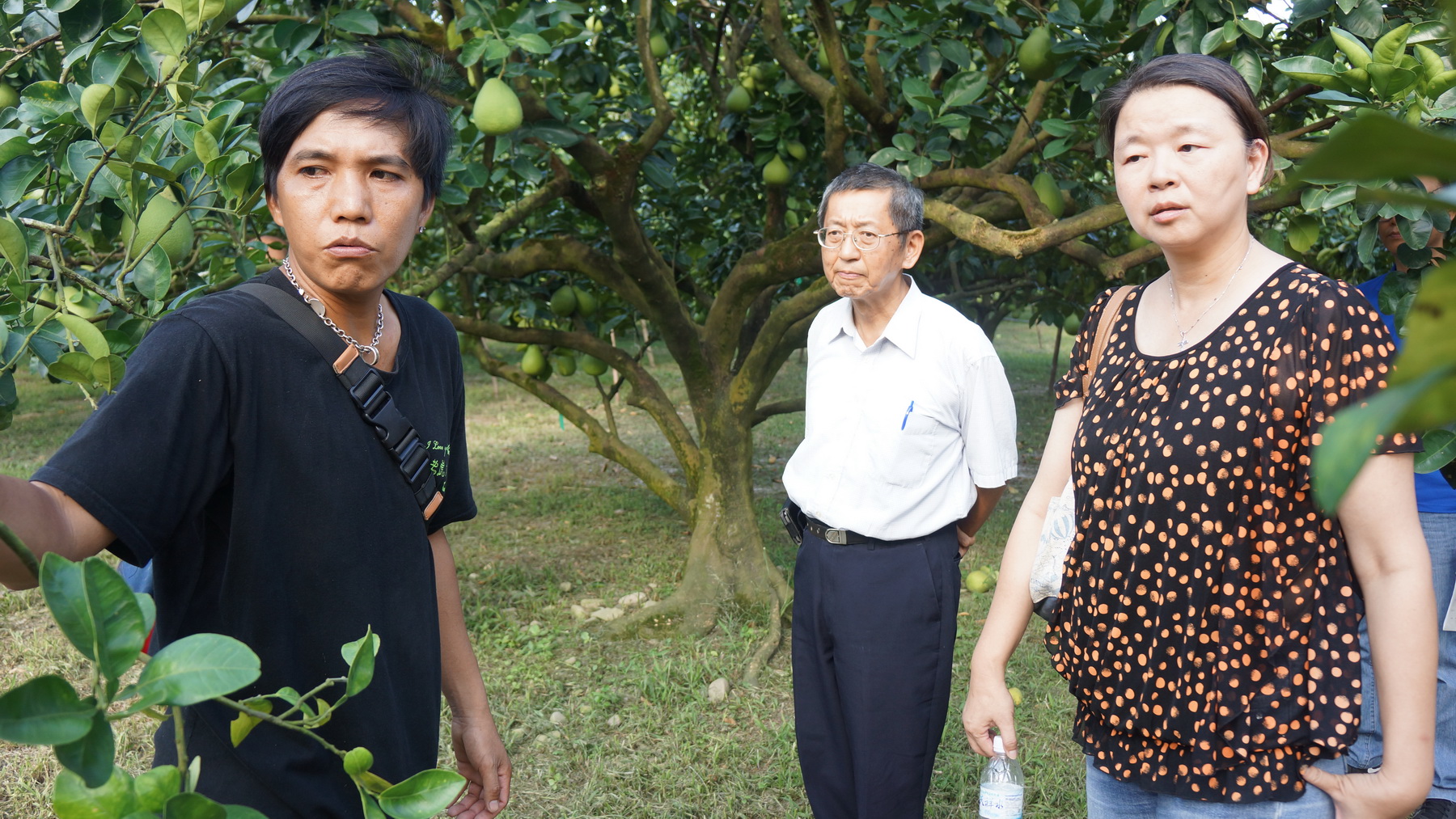 花改場場長黃鵬(中)及副場長范美玲(右)實地了解青農生產與銷售情形