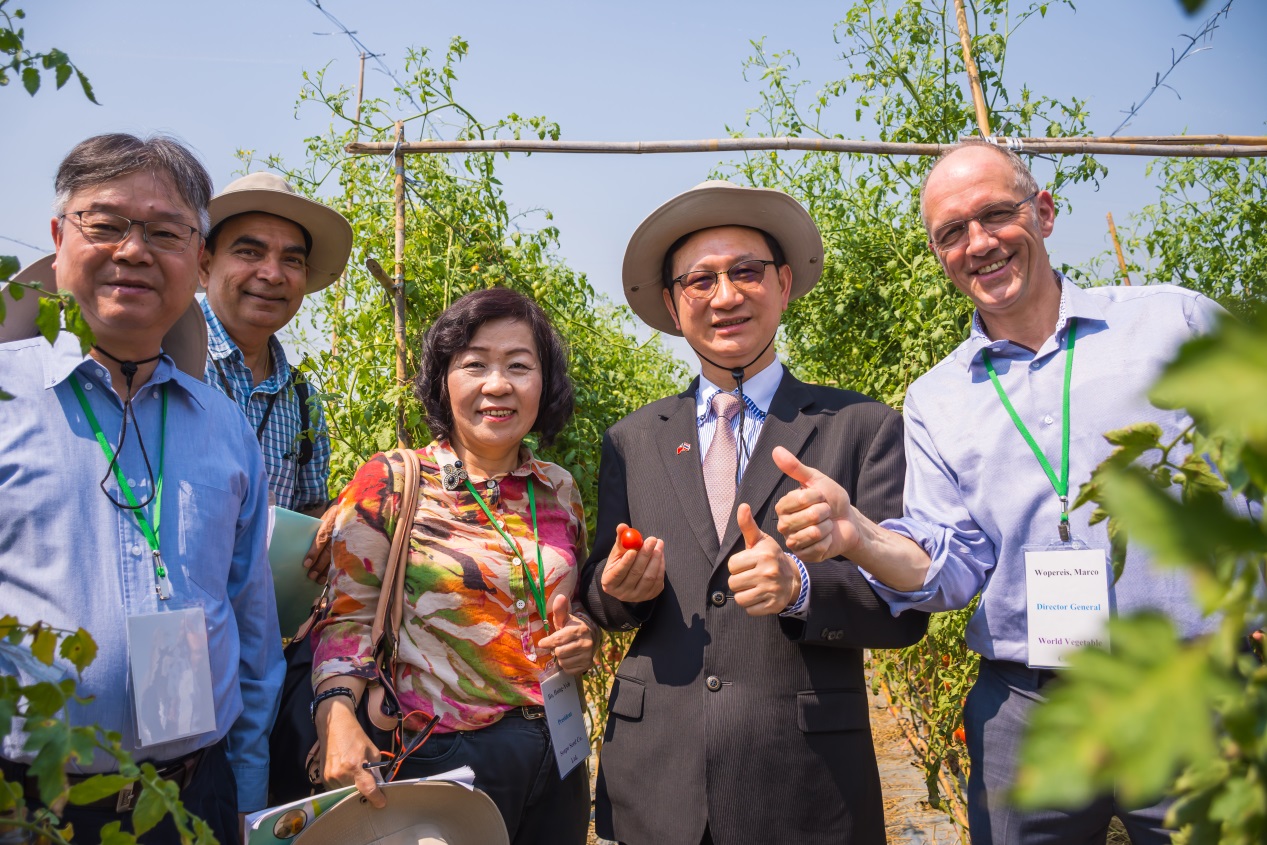 臺灣蔬菜種子種苗前進新南向 我國在泰國舉辦「臺灣蔬菜品種觀摩會」