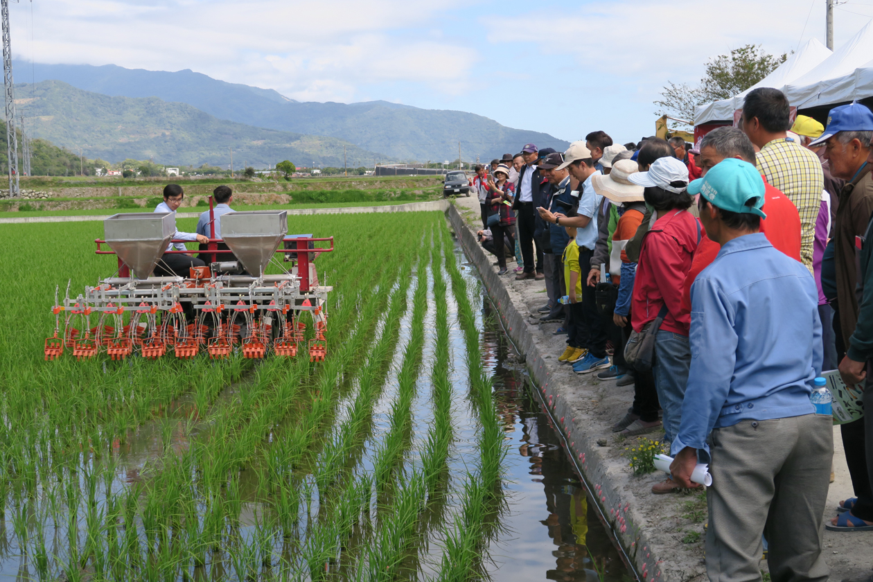 改良附掛式水田除草兼施肥機　除草施肥一次完成