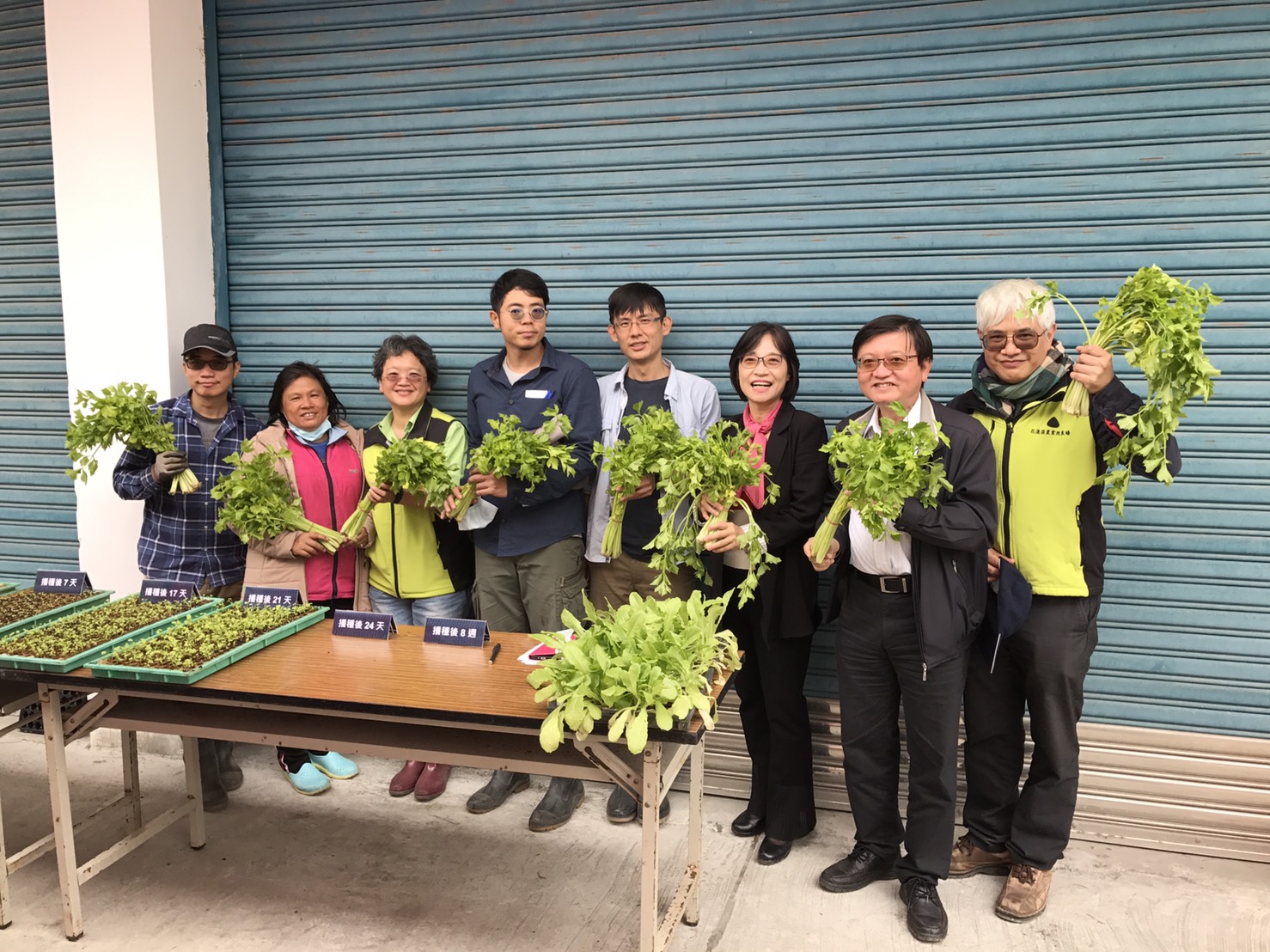 花蓮場辦理菜有機育苗技術及省工栽培觀摩會　