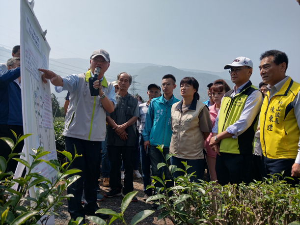 陳吉仲主委聽取茶改場蘇宗振場長現場說明茶園旱害情形