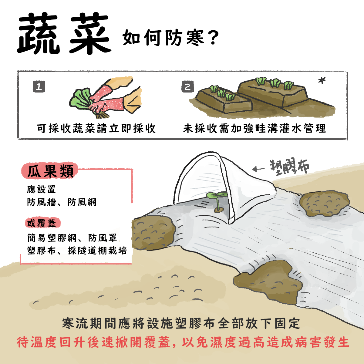 19至21日強烈大陸冷氣團影響 農糧署提醒農友加強農作物防寒措施