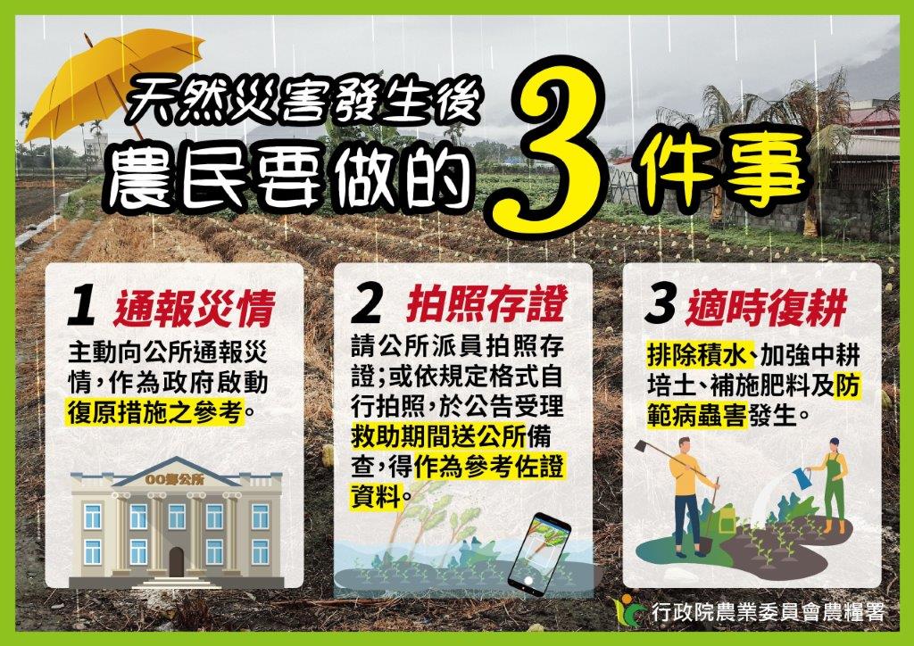 天然災害發生後農民要做的3件事：通報災情、拍照存證、適時復耕