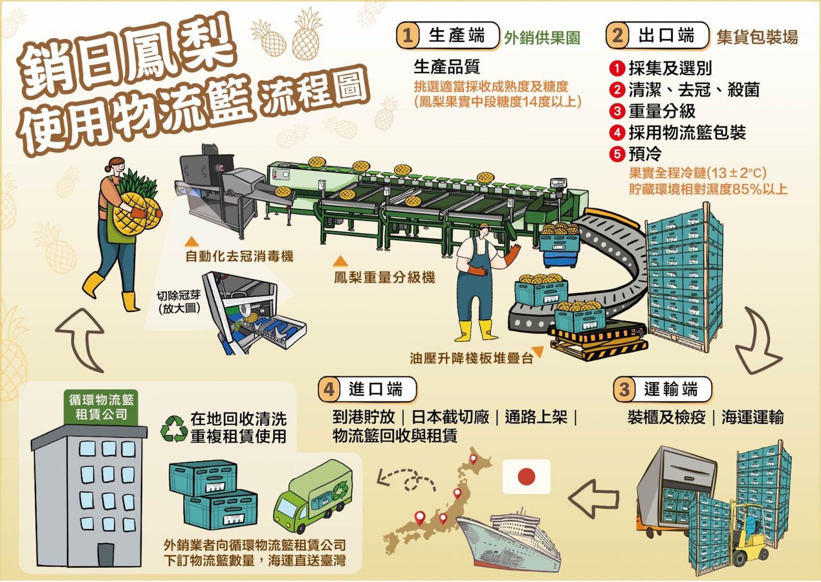 輸日鳳梨使用物流籃流程圖