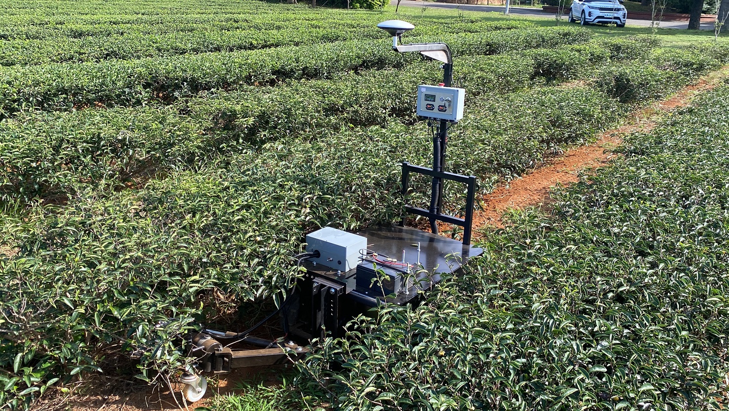 智慧除草機作業情形