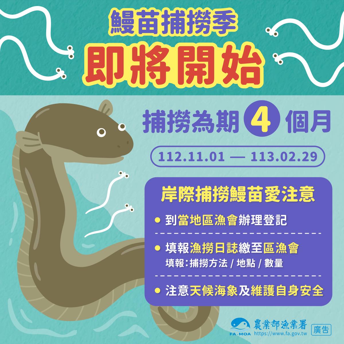 鰻苗捕撈漁季將於112年11月1日開始 賺鰻金要先登記、填日誌、顧安全