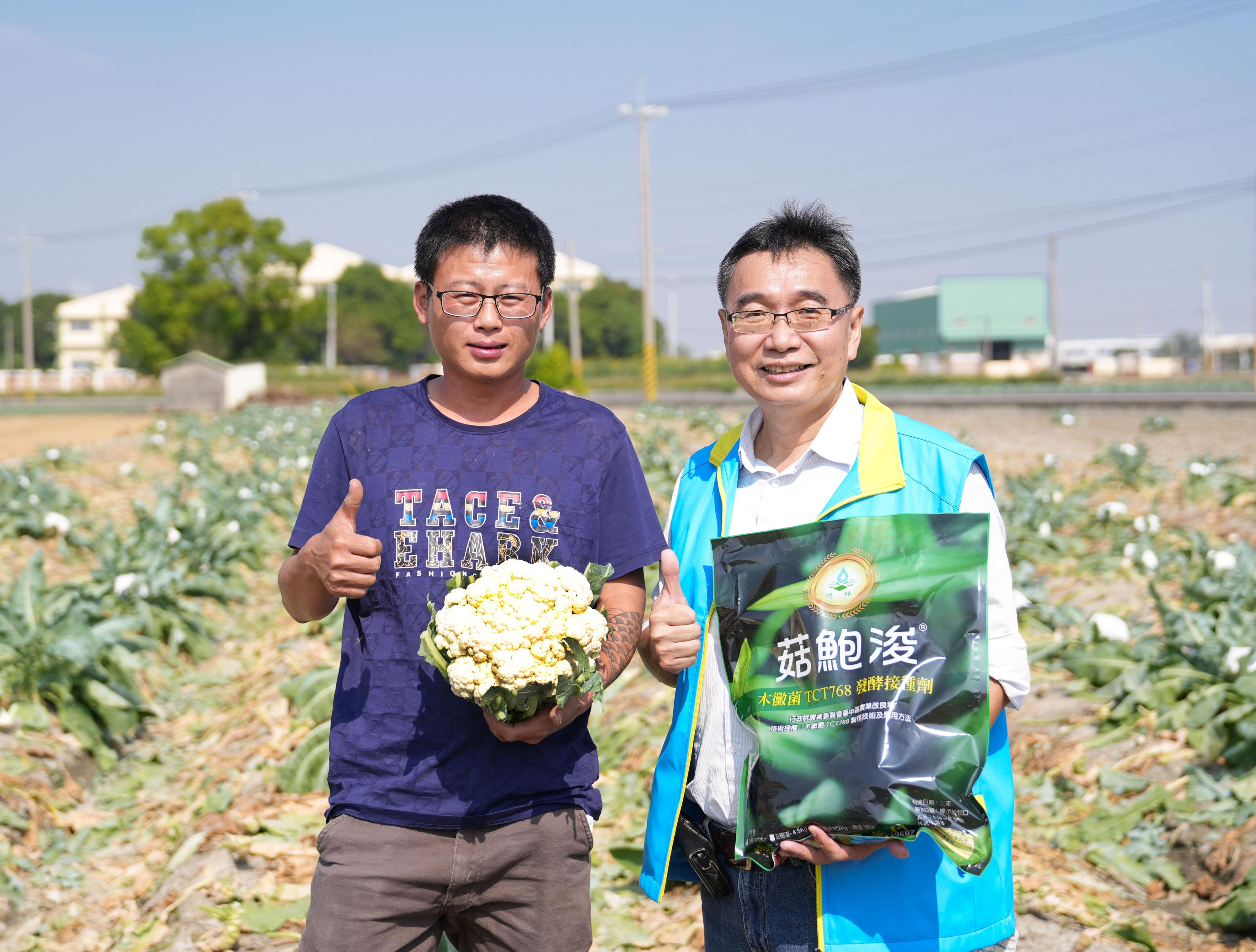 透過台中場開發的微生物與循環資材綜合管理技術，改善花椰菜連作障礙、提高苗期存活率，並增加夏季產量