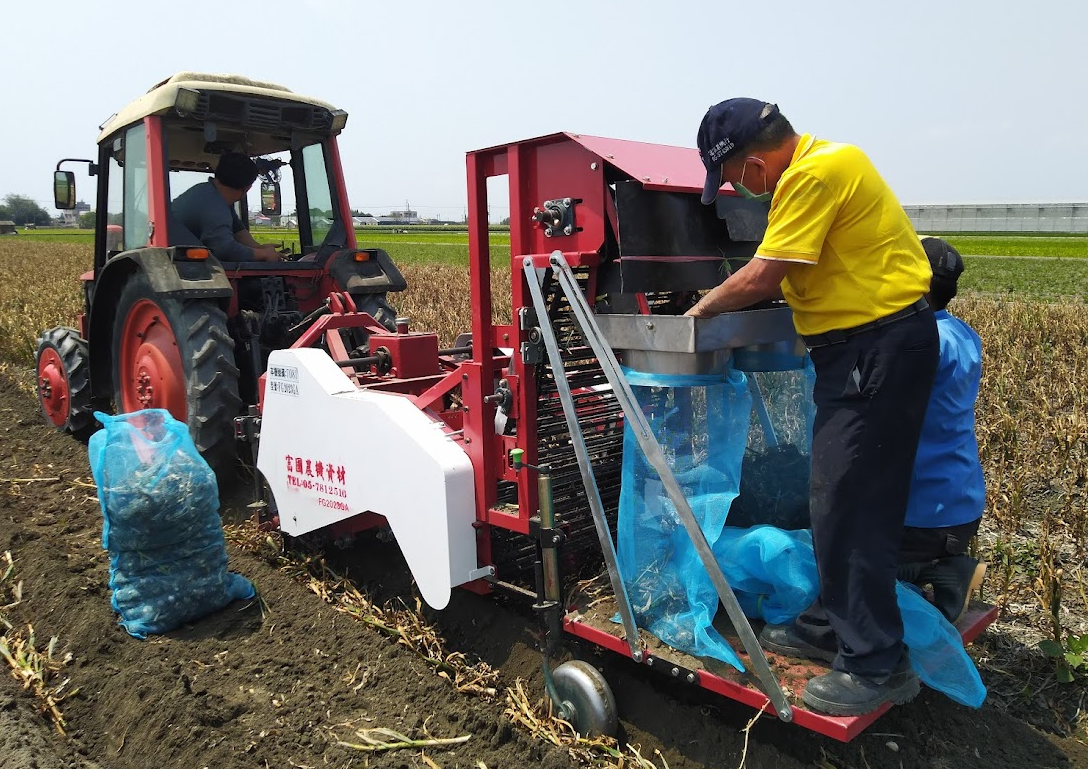 大蒜機械化大躍進 臺南農改場研發附掛式挖掘型大蒜收穫機