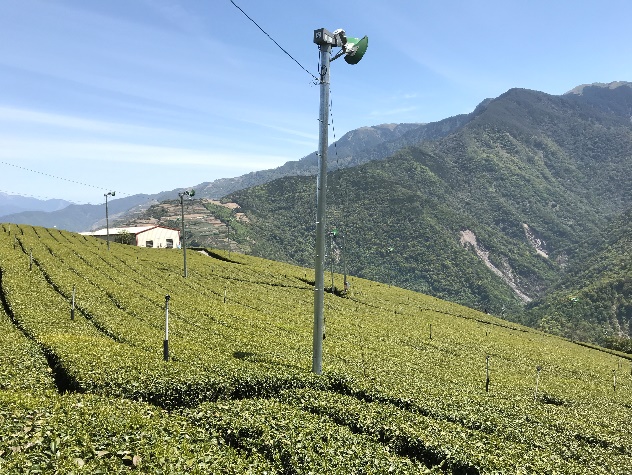 防霜風扇運送上層熱空氣至樹冠