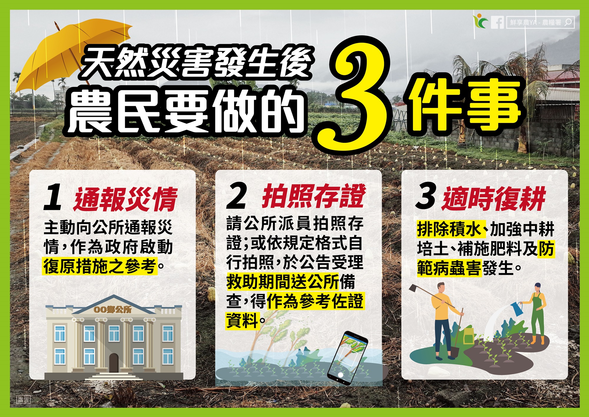 農糧署提醒，天然災害發生後農民要做的3件事，通報災情、拍照存證、適時復耕