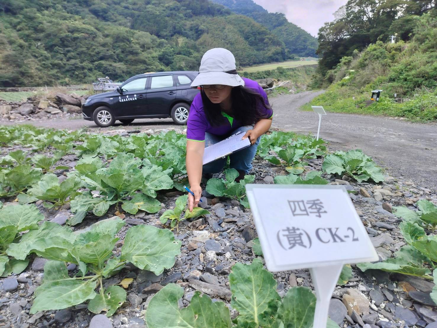  花蓮農改場與三星地區農會人員定期上山調查作物病蟲害和進行試驗