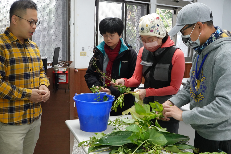  花蓮農改場講師介紹農改場蒐集野菜種源及栽培要領