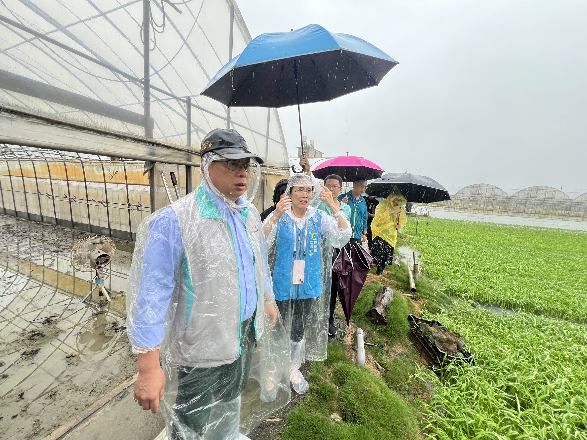 農業部黃昭欽次長視察嘉義新港鄉蔬菜產區受災情
