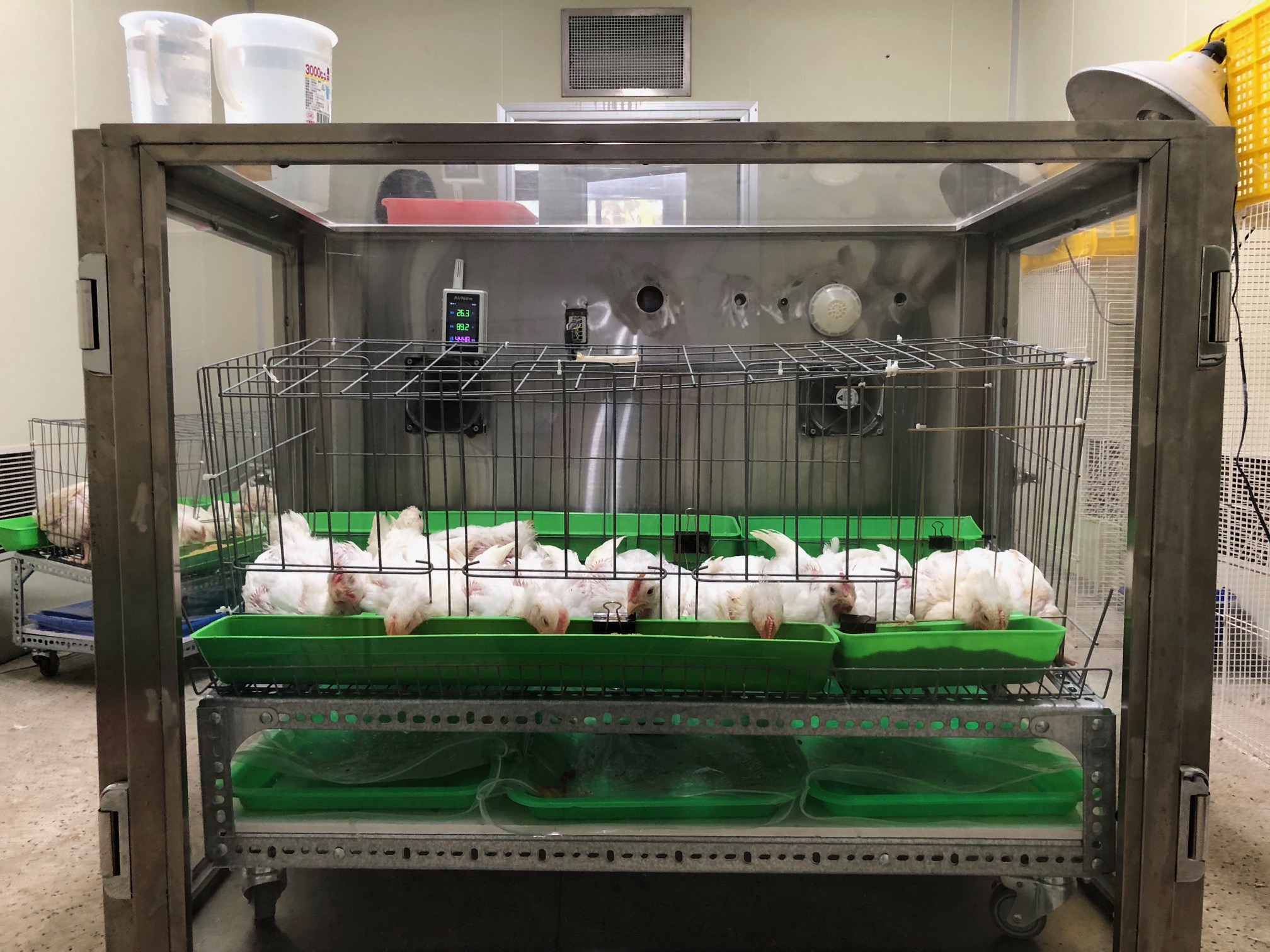 養雞愛地球 蛋白降一點 減碳效果多更多