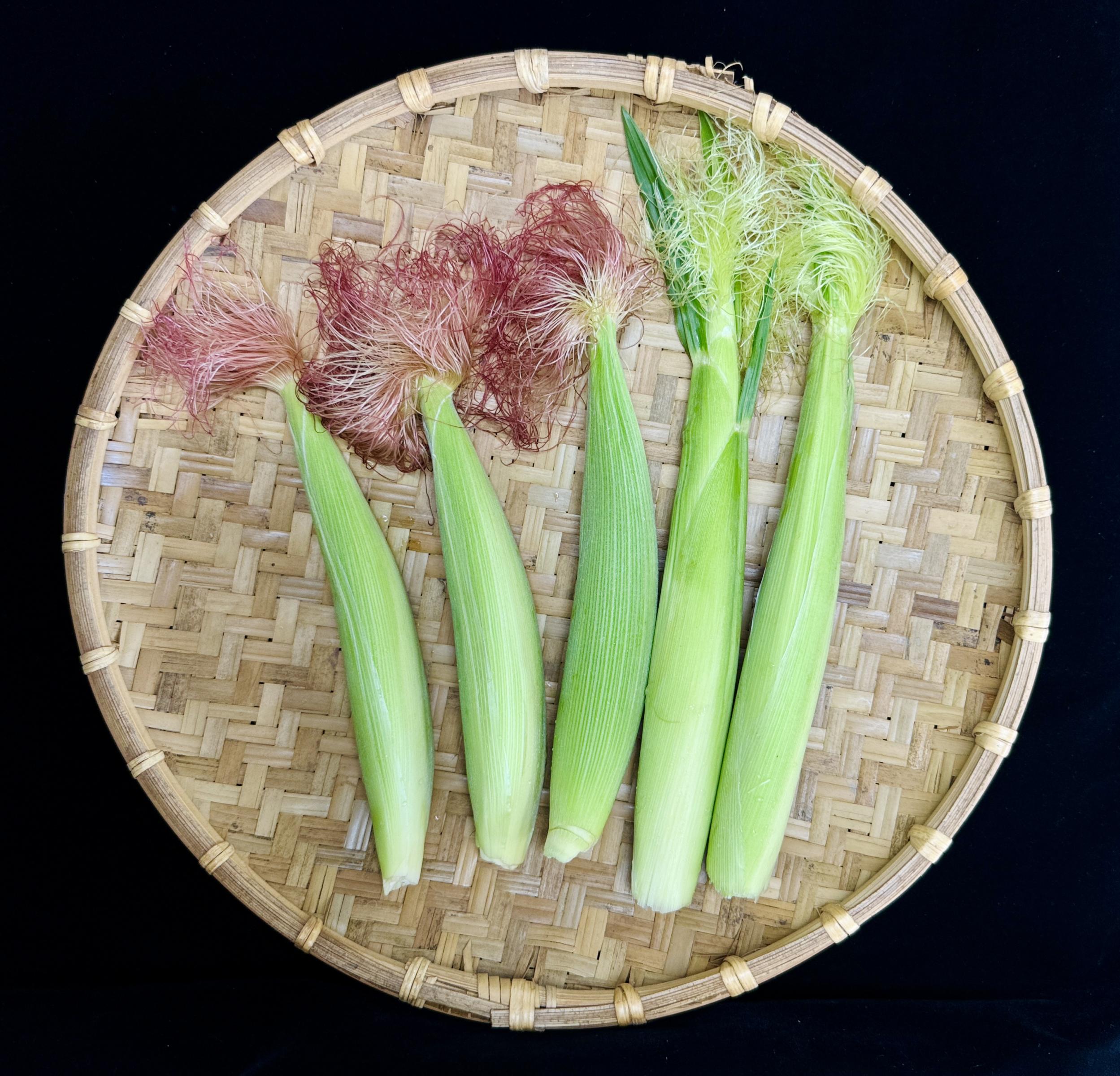 中秋烤肉新風味　清脆筍用玉米健康上桌