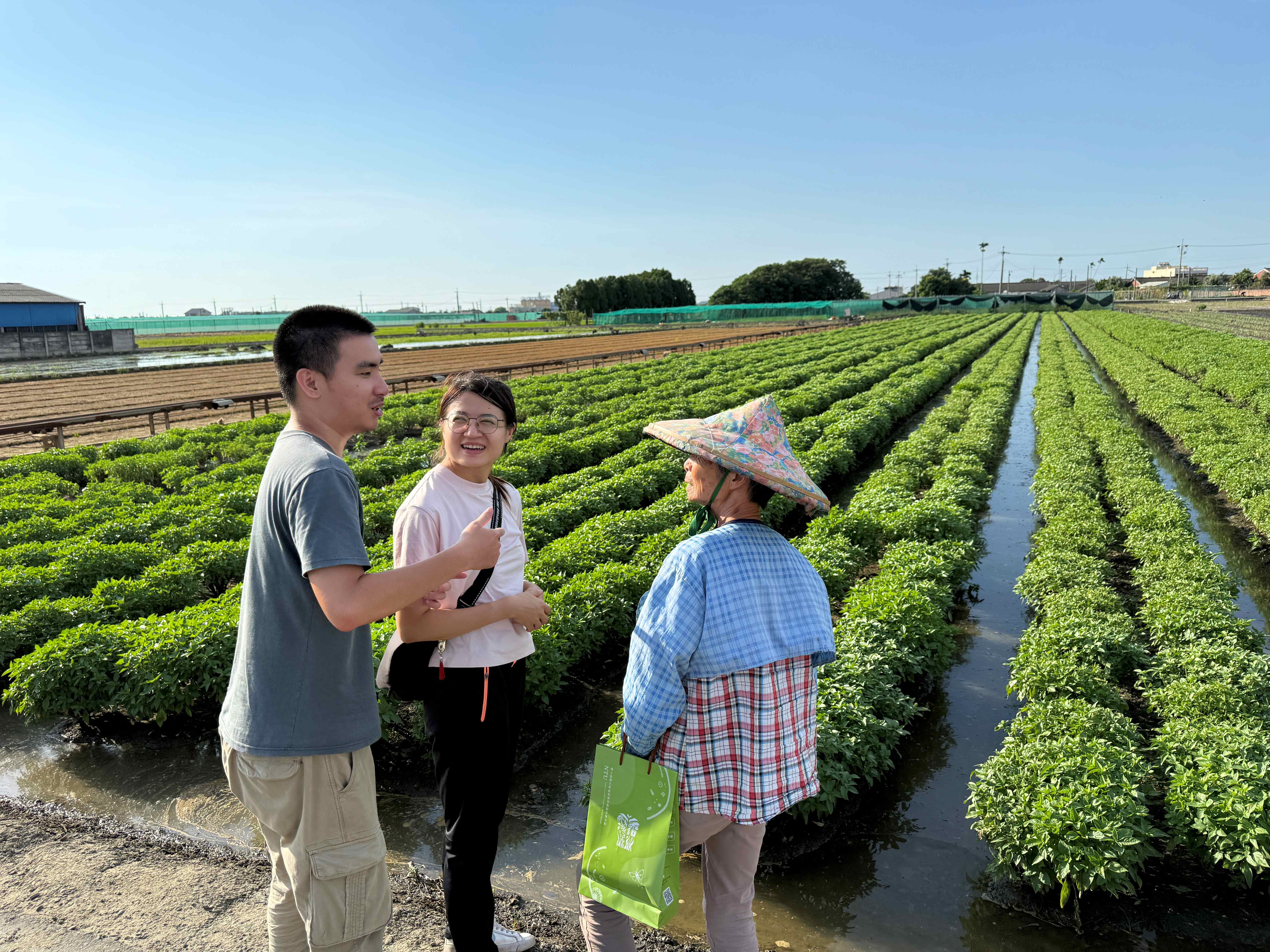 質譜快檢把關 蔬果安全有保障