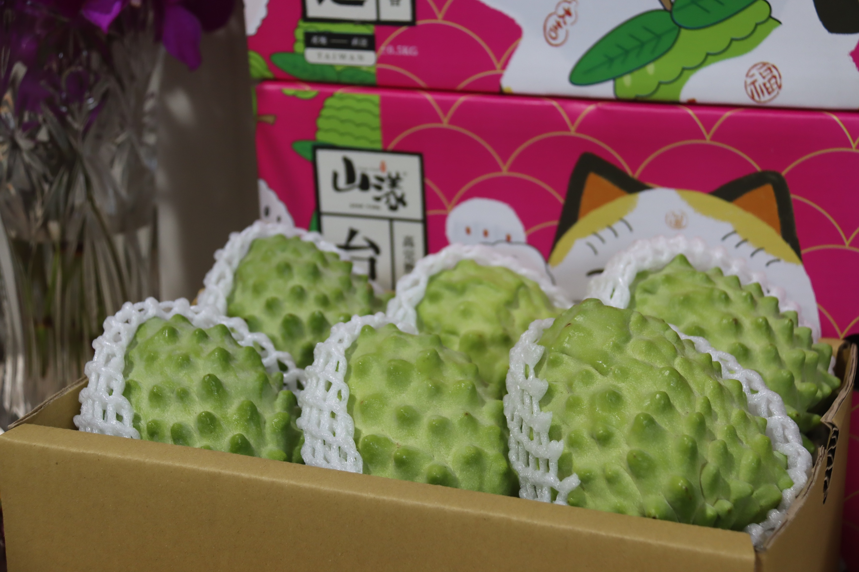 農糧署加碼推動加工金融支持 提升鳳梨釋迦產銷韌性