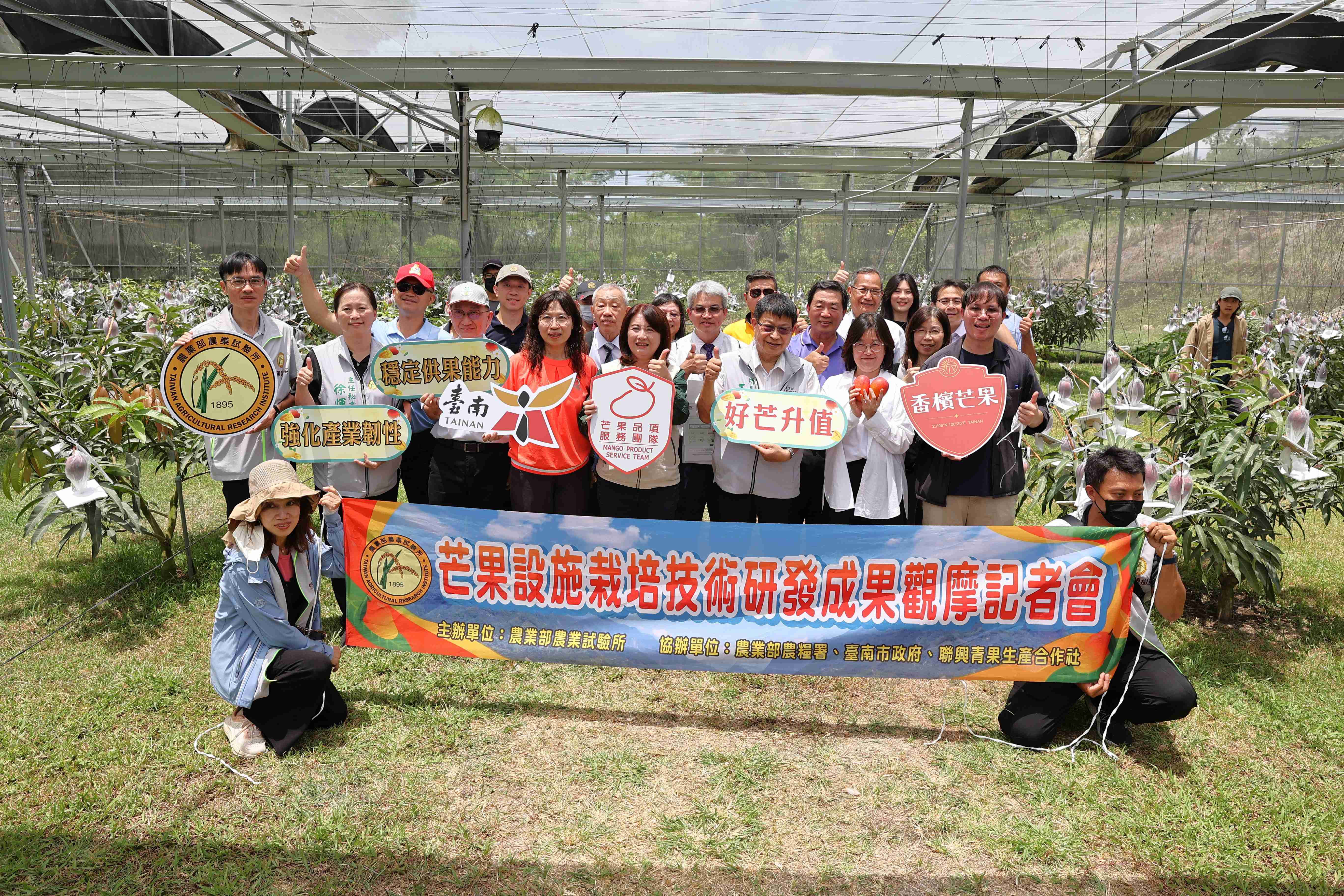 農試所發表芒果設施栽培技術成果 強化產業抗逆境能力