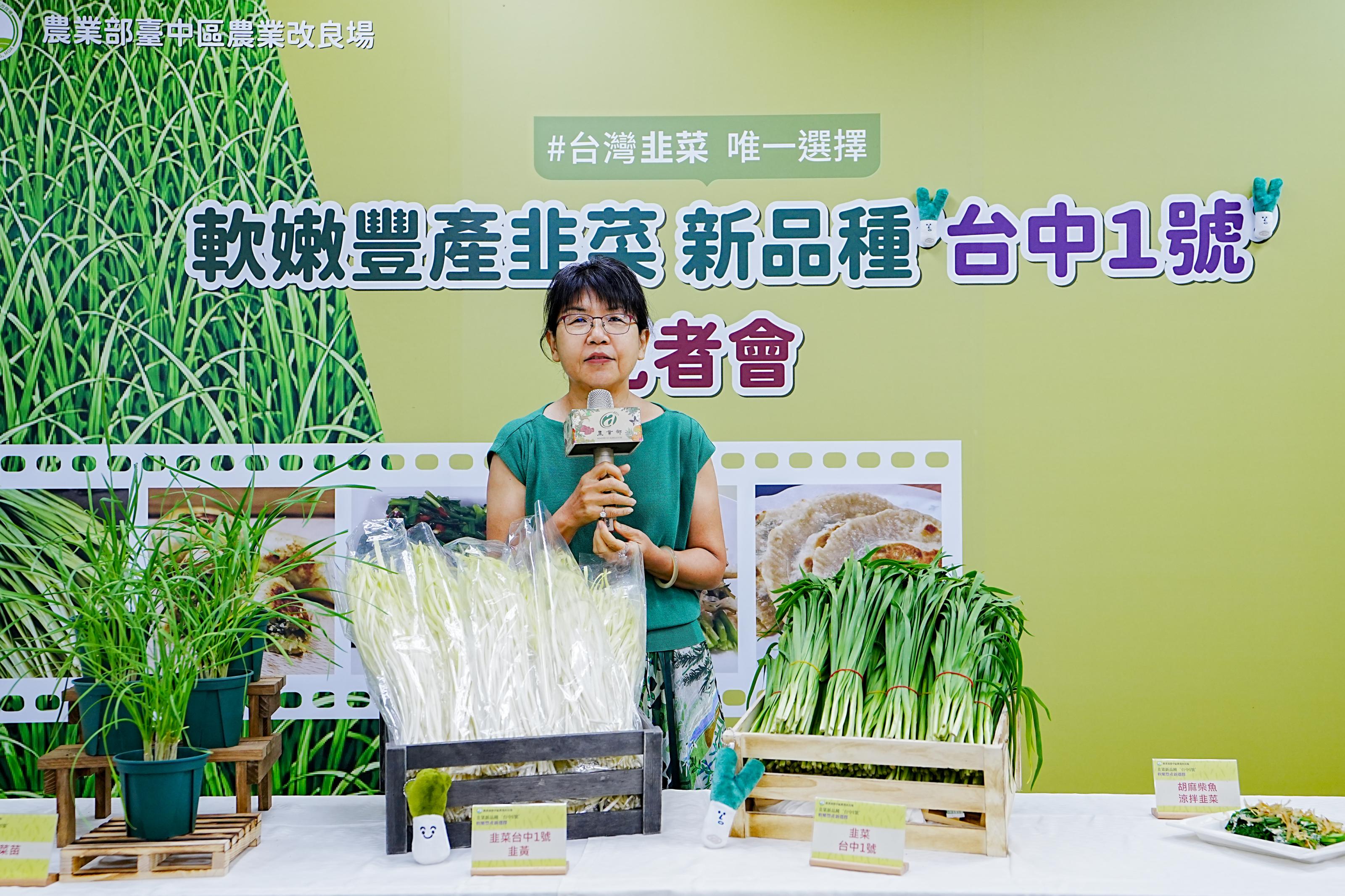 臺中農改場楊宏瑛場長說明臺中農改場育成韭菜新品「台中1號」。